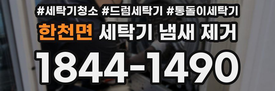 한천면 세탁기 냄새 제거