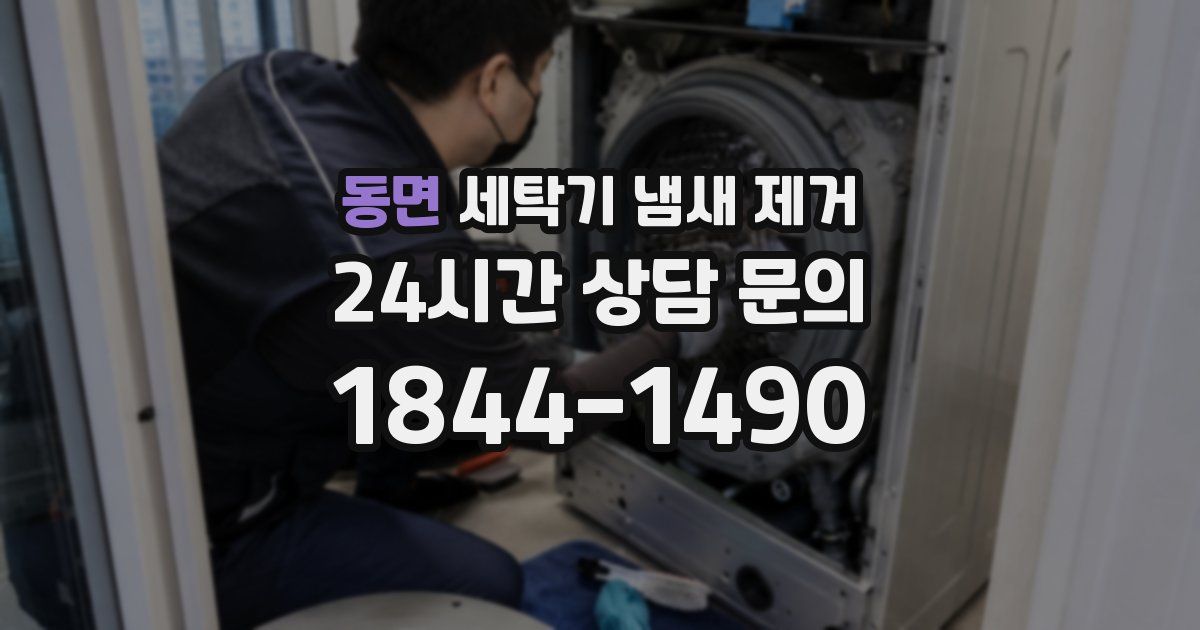 동면 세탁기 냄새 제거