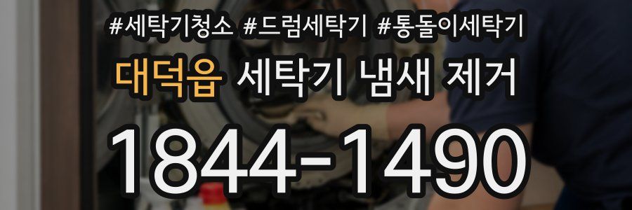 대덕읍 세탁기 냄새 제거