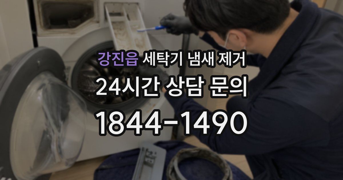 강진읍 세탁기 냄새 제거