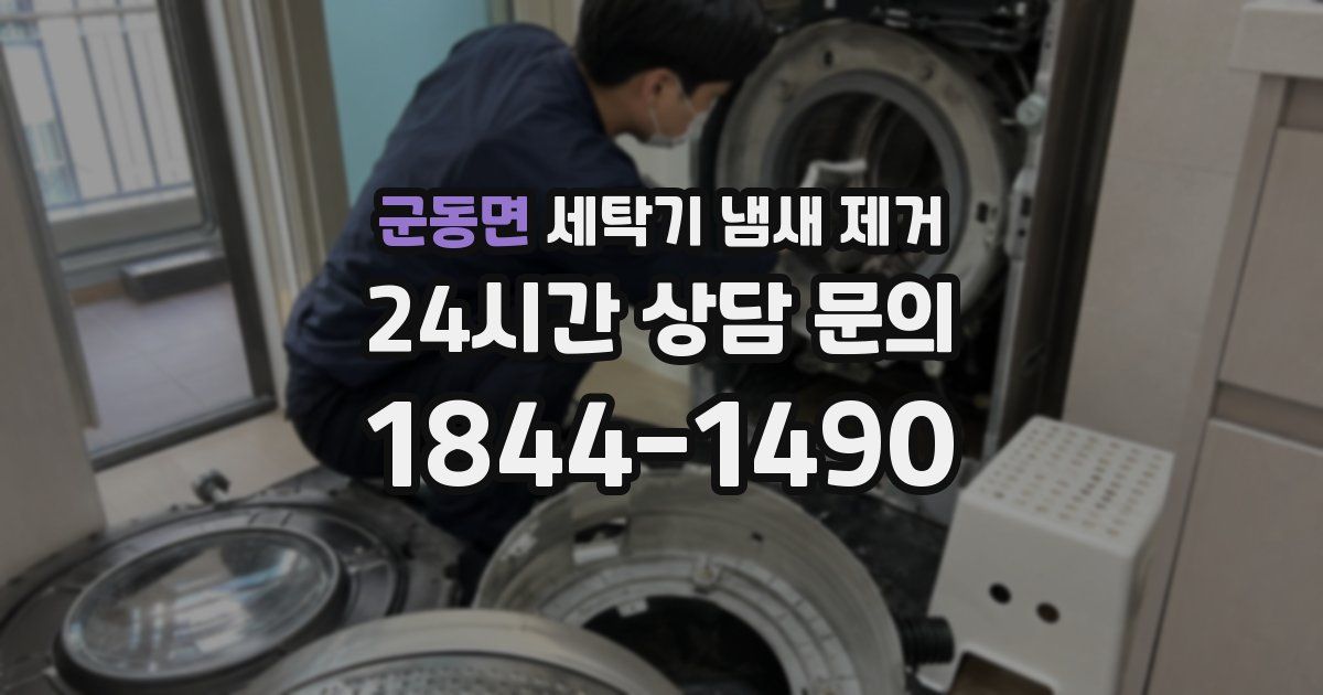 군동면 세탁기 냄새 제거