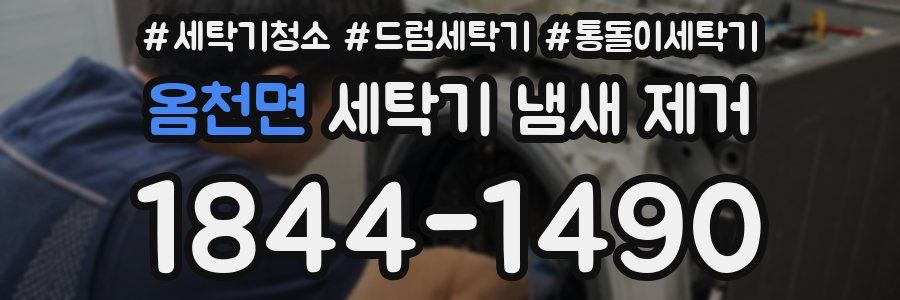 옴천면 세탁기 냄새 제거