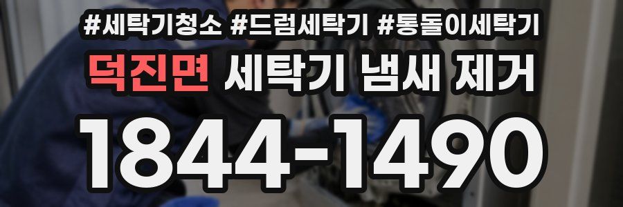덕진면 세탁기 냄새 제거