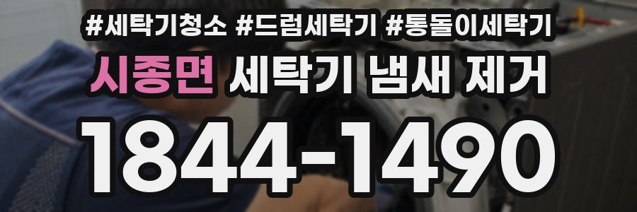 시종면 세탁기 냄새 제거