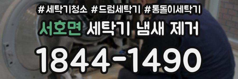 서호면 세탁기 냄새 제거