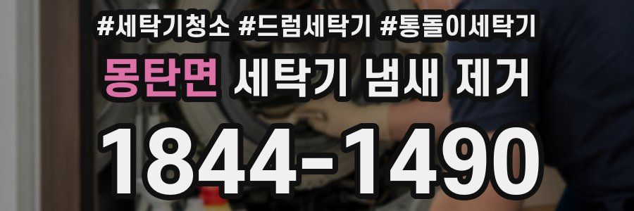 몽탄면 세탁기 냄새 제거