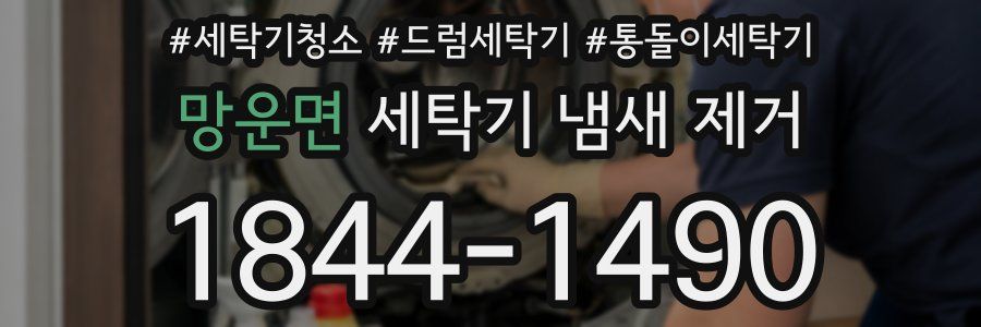 망운면 세탁기 냄새 제거