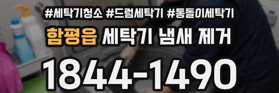 함평읍 세탁기 냄새 제거