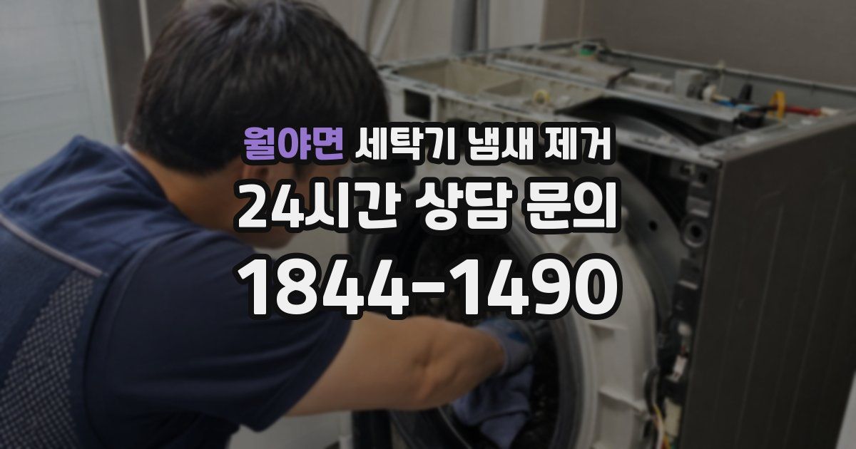 월야면 세탁기 냄새 제거