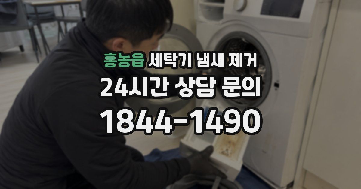 홍농읍 세탁기 냄새 제거