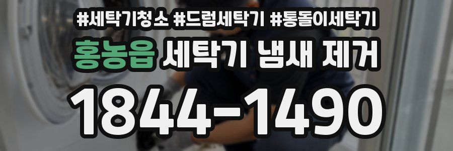 홍농읍 세탁기 냄새 제거