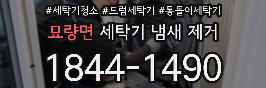 묘량면 세탁기 냄새 제거
