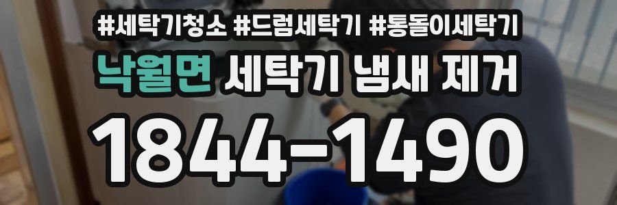 낙월면 세탁기 냄새 제거