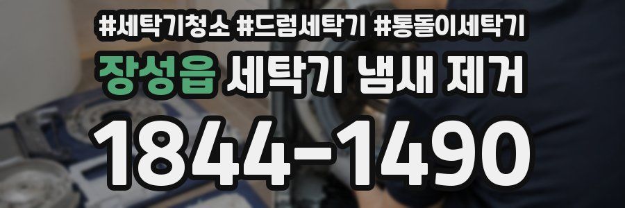 장성읍 세탁기 냄새 제거