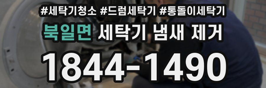 북일면 세탁기 냄새 제거