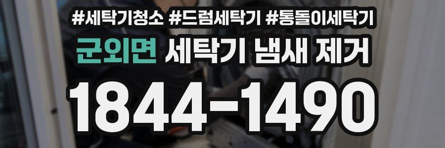 군외면 세탁기 냄새 제거