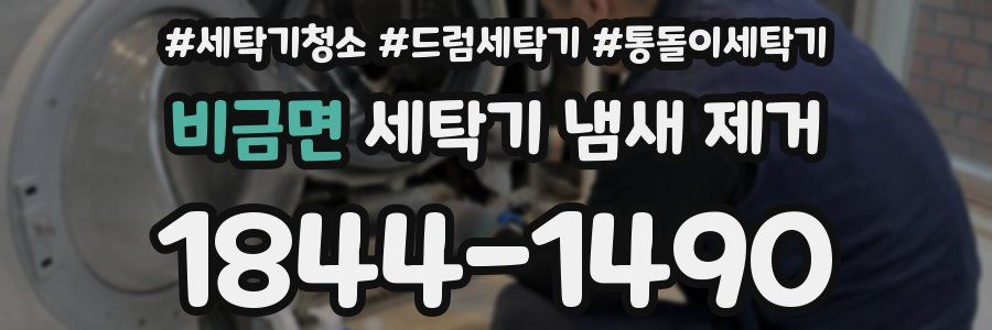 비금면 세탁기 냄새 제거