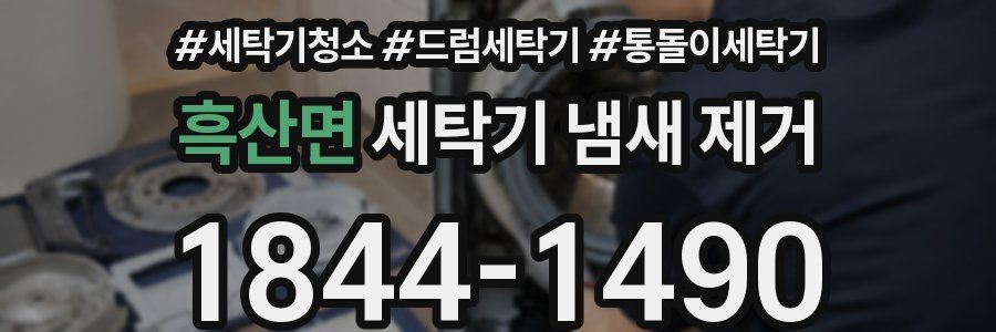 흑산면 세탁기 냄새 제거
