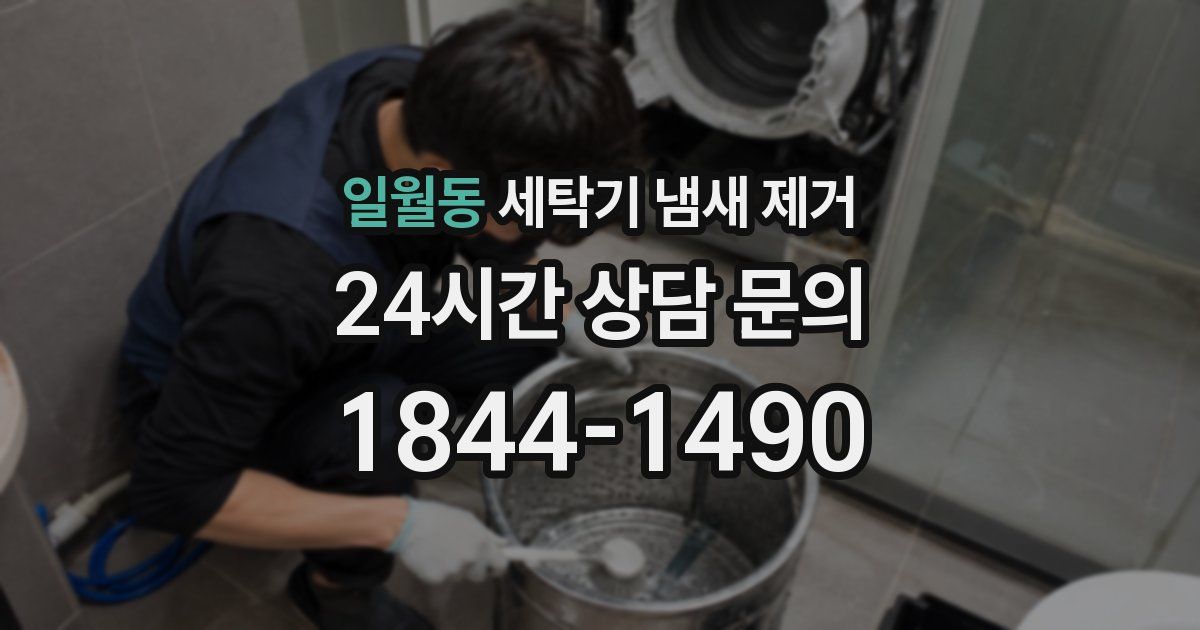 일월동 세탁기 냄새 제거