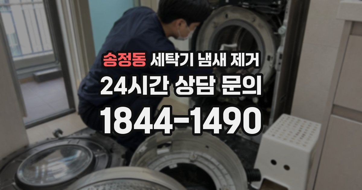 송정동 세탁기 냄새 제거