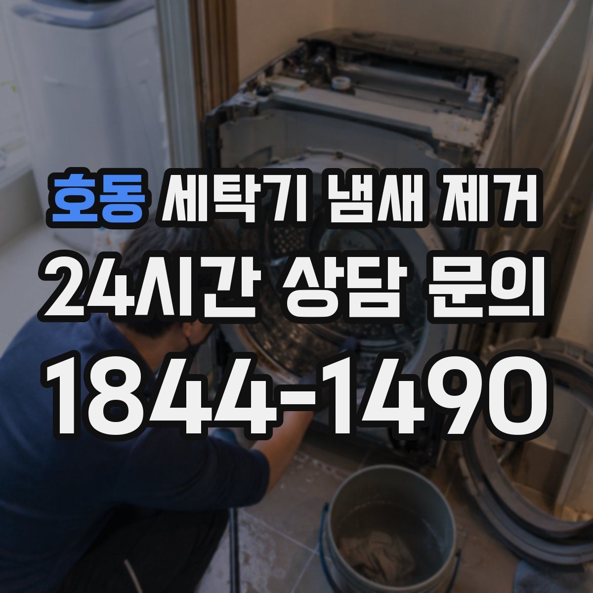 호동 세탁기 냄새 제거
