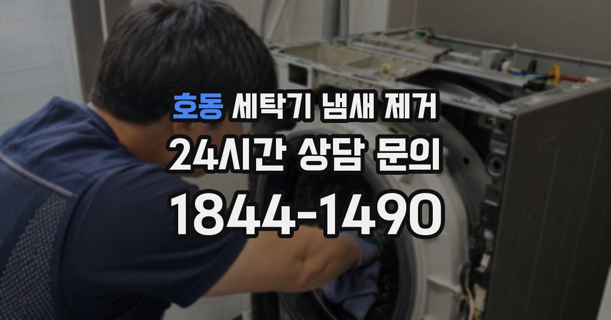 호동 세탁기 냄새 제거