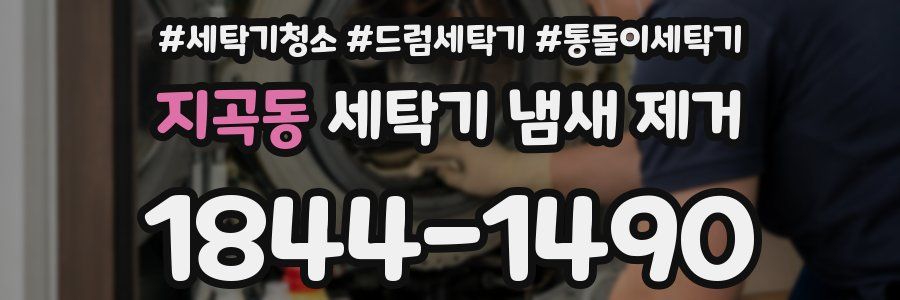 지곡동 세탁기 냄새 제거