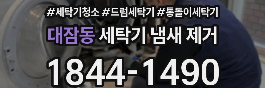 대잠동 세탁기 냄새 제거