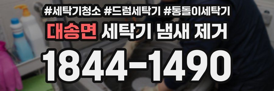 대송면 세탁기 냄새 제거