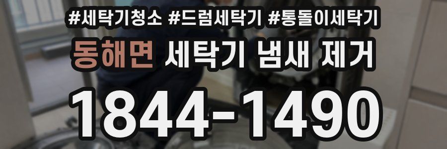 동해면 세탁기 냄새 제거
