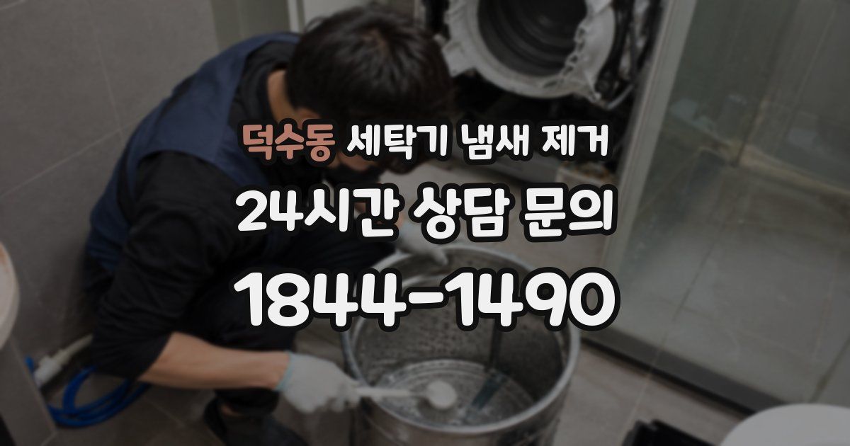 덕수동 세탁기 냄새 제거