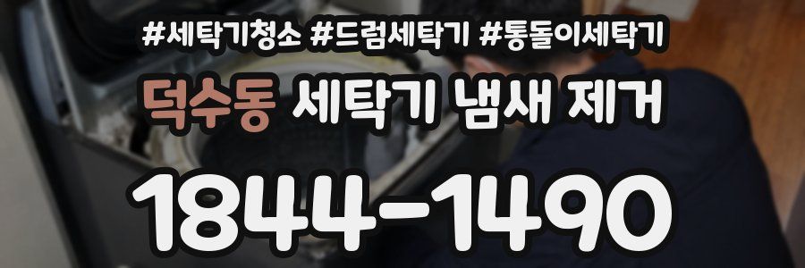 덕수동 세탁기 냄새 제거