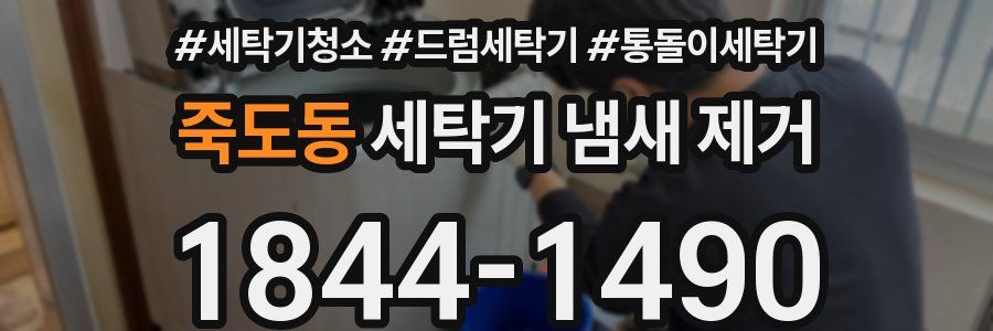 죽도동 세탁기 냄새 제거
