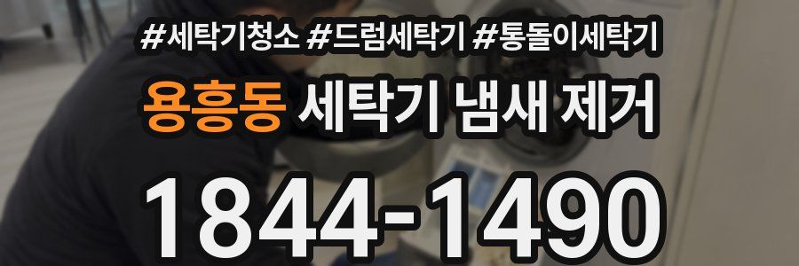 용흥동 세탁기 냄새 제거
