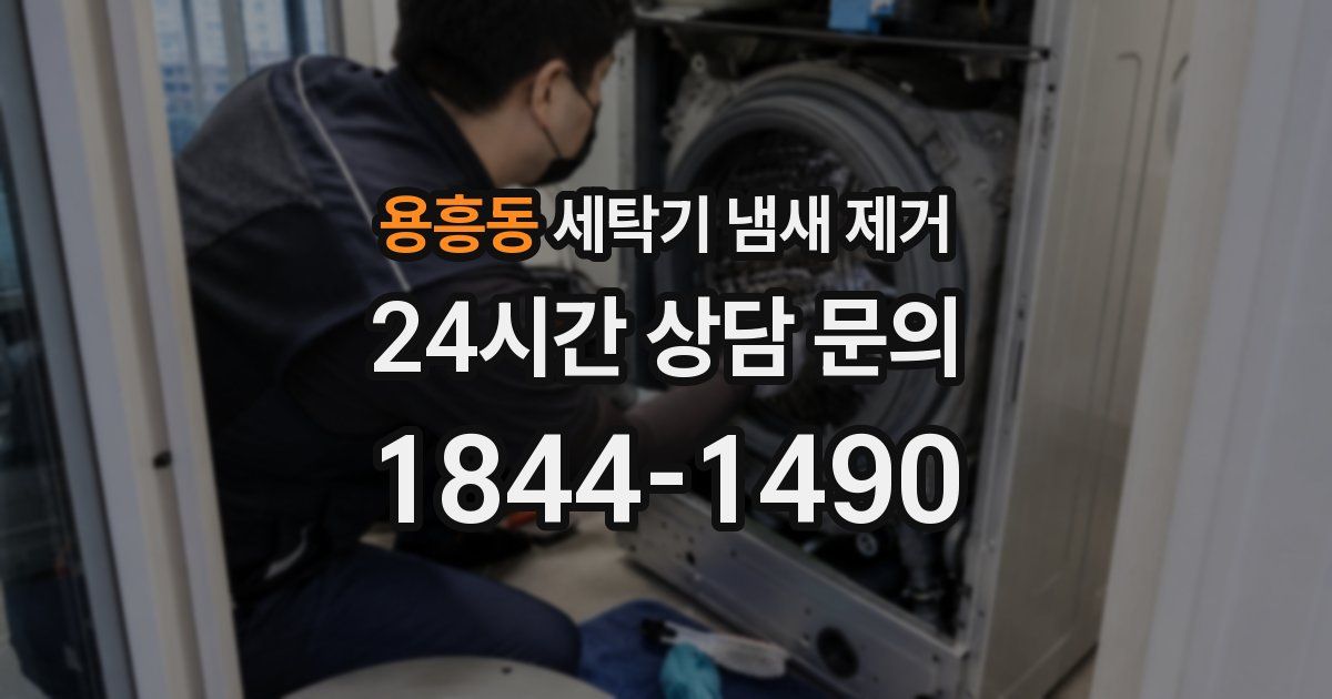 용흥동 세탁기 냄새 제거
