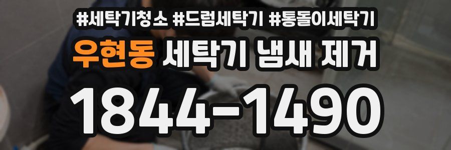 우현동 세탁기 냄새 제거