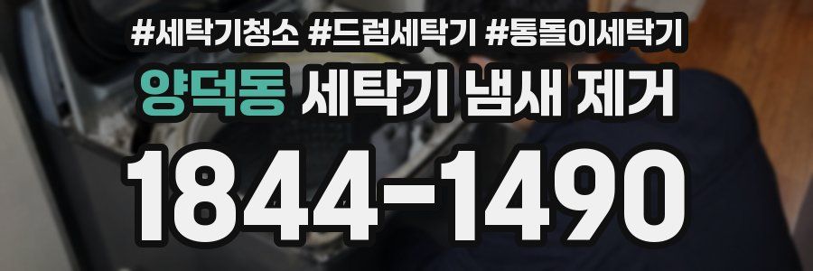 양덕동 세탁기 냄새 제거