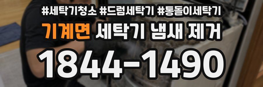 기계면 세탁기 냄새 제거