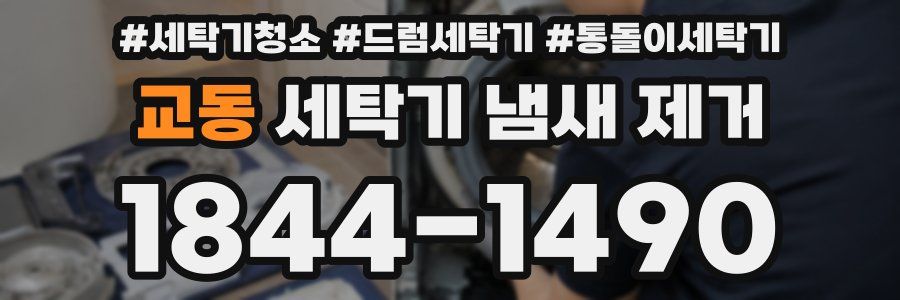 교동 세탁기 냄새 제거