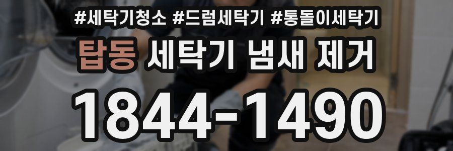 탑동 세탁기 냄새 제거