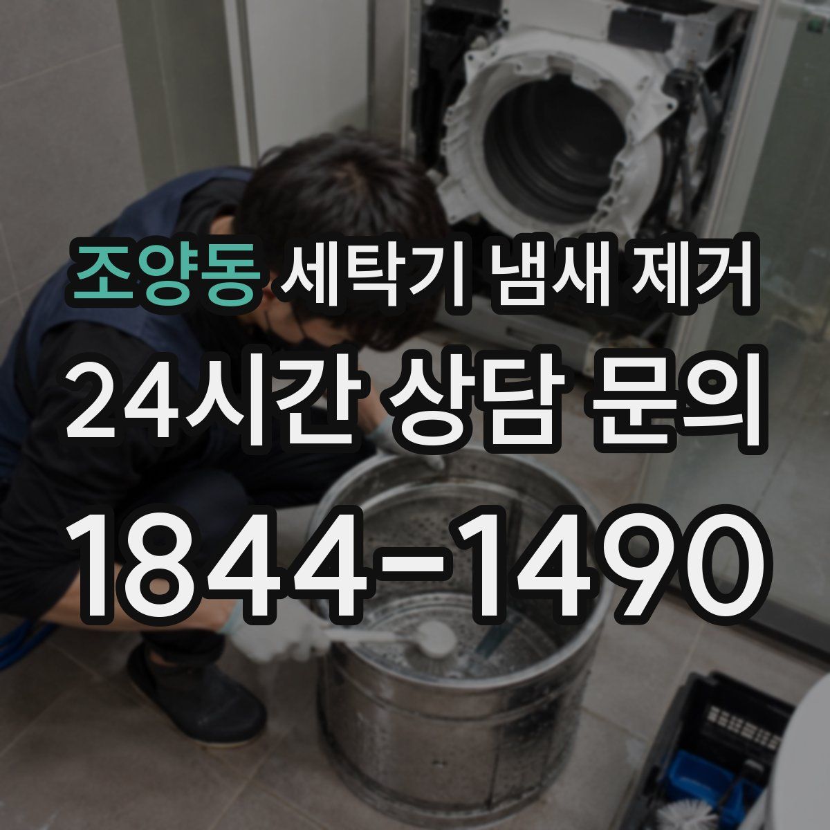 조양동 세탁기 냄새 제거