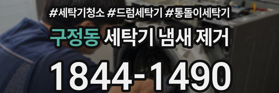 구정동 세탁기 냄새 제거