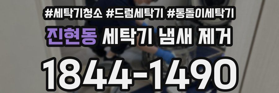 진현동 세탁기 냄새 제거