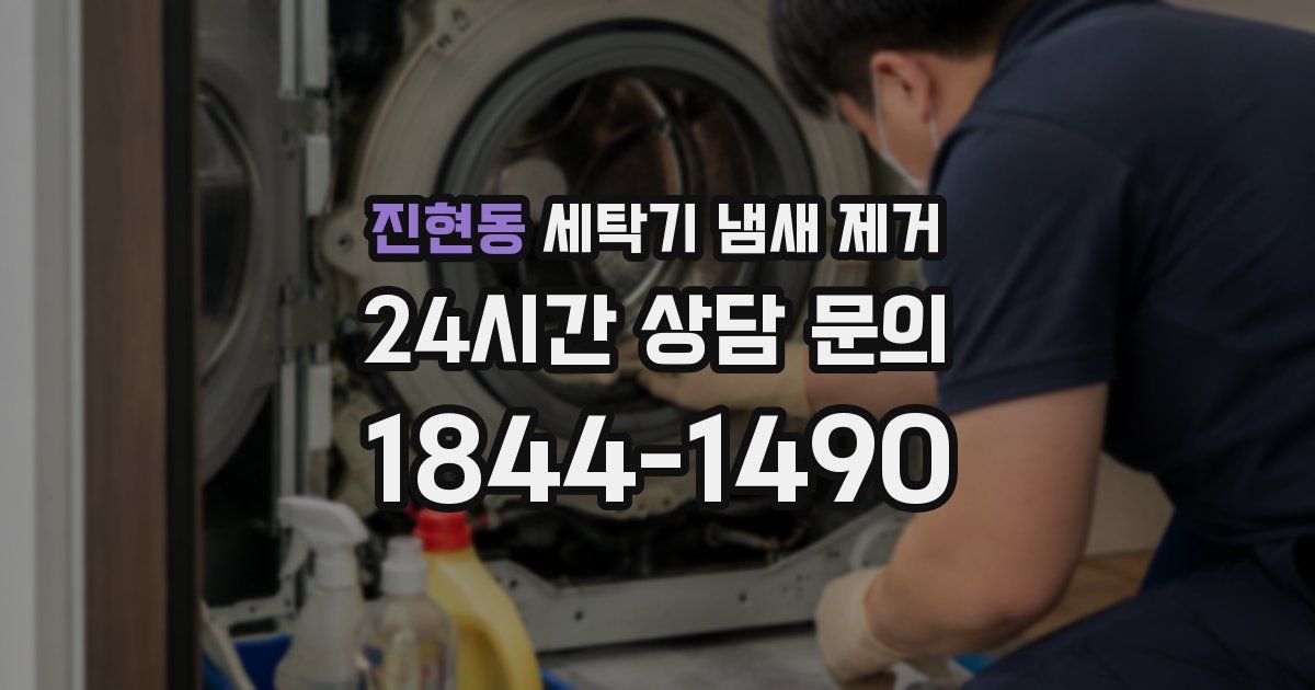 진현동 세탁기 냄새 제거
