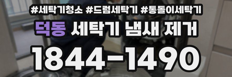 덕동 세탁기 냄새 제거