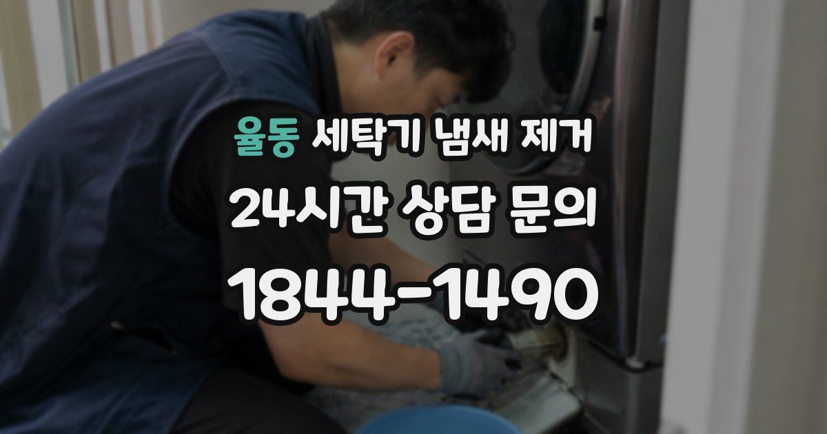 율동 세탁기 냄새 제거