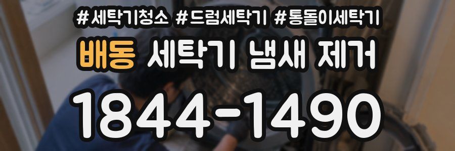 배동 세탁기 냄새 제거