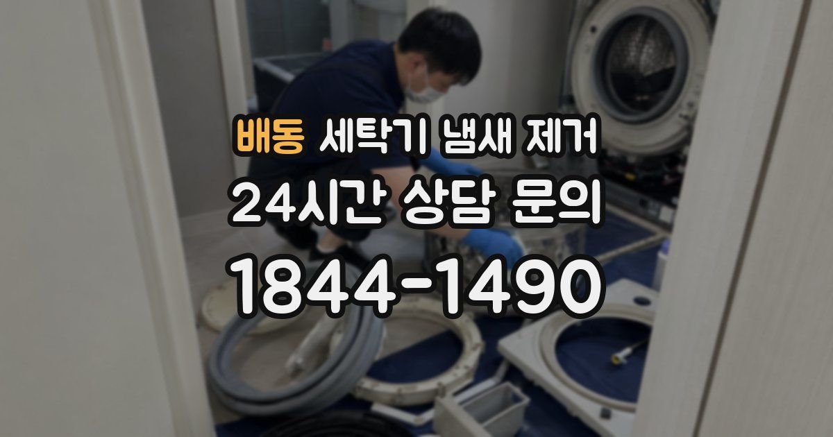 배동 세탁기 냄새 제거