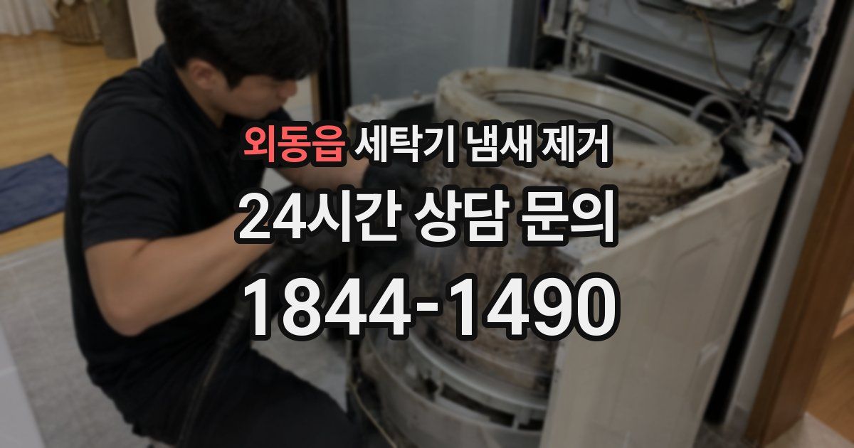 외동읍 세탁기 냄새 제거