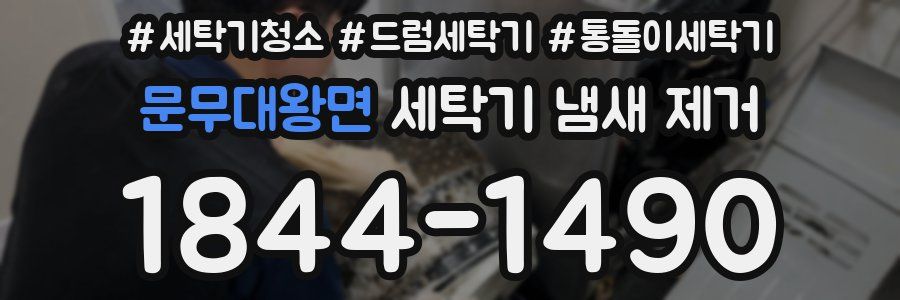 문무대왕면 세탁기 냄새 제거